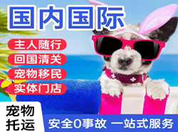 朔州机场快运国际宠物托运 【国